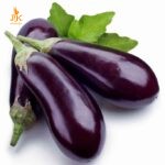 Aubergine violette (500g)