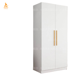 Armoire 2 battants moderne – Style design et rangement pratique